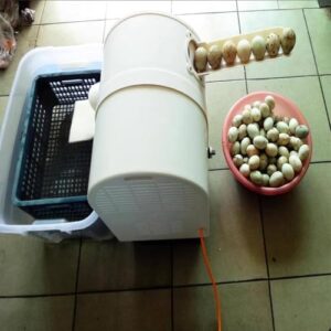 Lavatrice Automatica per Uova BsxiouY, strumento ideale per la pulizia rapida e sicura delle uova di gallina e anatra