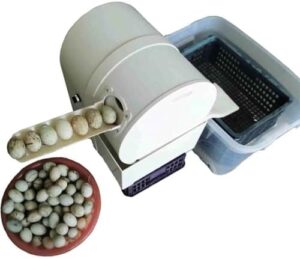 BsxiouY Lavatrice Elettrica per Uova: pulizia automatica e sicura per uova di gallina e anatra