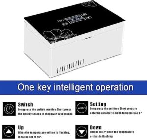 Frigorifero XINGLUOY per insulina, mini frigo elettrico, borsa frigo, contenitore per insulina con termostato USB e 2 batterie ricaricabili