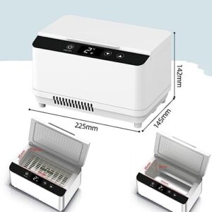 BDXZJ Scatola Refrigerata per Insulina - Mini Contenitore Frigorifero per Farmaci