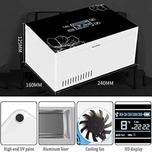 ZWJABYY Insulina Cooler, frigorifero portatile con display LED per conservare insulina e farmaci in modo sicuro durante i viaggi