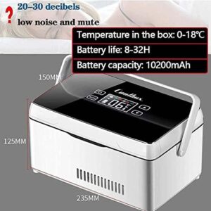 Mini frigorifero per insulina con display LED e temperatura regolabile, ideale per la conservazione dei farmaci.