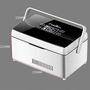 Portatile dispositivo di raffreddamento per insulina e farmaci, ideale per viaggi e uso in auto.