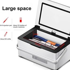 Portatile dispositivo di raffreddamento per insulina e farmaci, ideale per viaggi e uso in auto.