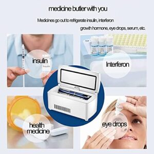 Frigorifero per insulina HSRG con controllo della temperatura da 2°C a 8°C, display LCD HD e grande capacità.