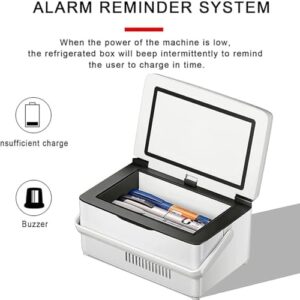 Frigorifero portatile TRTDYFKH per insulina, ideale per auto e viaggi, con batteria ricaricabile.