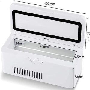 Custodia portatile per insulina con display LCD, mini frigorifero per farmaci a temperatura costante