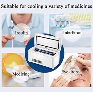 Frigorifero portatile IXART per insulina e farmaci, temperatura 0-18°C, ideale per viaggi
