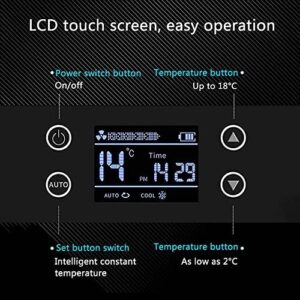 FENGSSLL Frigorifero Portatile per Insulina con Display LCD e Controllo Preciso della Temperatura
