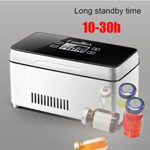 YIHEMEI Scatola Refrigerata per Insulina Portatile, Mini Frigorifero per Auto e Viaggi, Ideale per Farmaci Sensibili alla Temperatura  