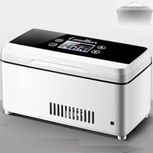 Frigorifero Mini Portatile per Insulina, ideale per viaggi, ricaricabile via USB, con doppio comando caldo/freddo