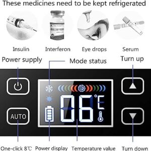 SKIHOT Mini Frigorifero per Auto Medicinale, frigorifero portatile per insulina, ideale per viaggi, casa e ufficio