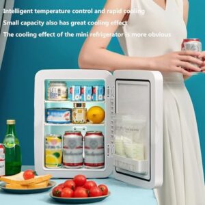 Mini Frigo Trucco Specchio con luce LED e riscaldatore per cibi e bevande