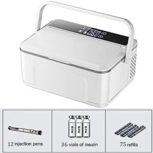 Scatola refrigerata portatile per insulina, ideale per il raffreddamento dei medicinali e forniture per diabetici