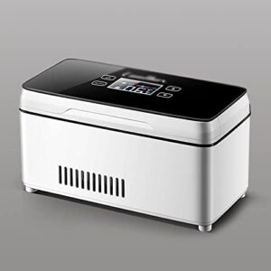 Mini frigorifero portatile per farmaci, ideale per insulina e medicinali, regolabile tra 0-18°C, perfetto per viaggi e uso domestico.