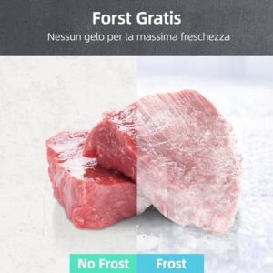 CHiQ 282L Frigorifero a libera installazione, anti-gelo, Sistema a doppio inverter, anti-gelo, Flusso d'aria multiplo, Touch-elettronico intelligente, Compressore con 12 anni di garanzia