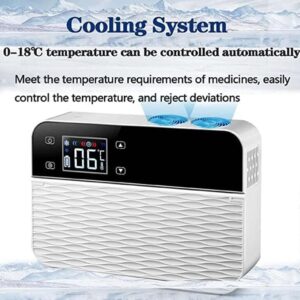 Frigorifero portatile per insulina con temperatura costante, ideale per viaggio e uso quotidiano