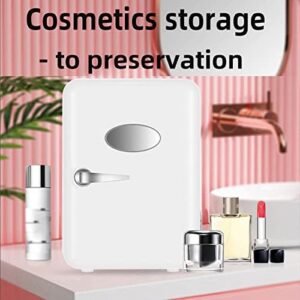 Mini frigorifero multifunzionale da 4 litri per cosmetici, bevande, maschere di bellezza, ideale per casa e auto.