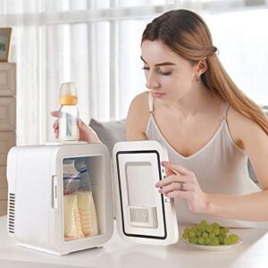 Mini Frigo Portatile 10L CarUse, un frigorifero compatto per auto, uffici e piccoli spazi
