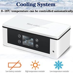 Frigorifero portatile per medicina, ideale per insulina e farmaci sensibili alla temperatura, con temperatura regolabile tra 2-18°C.