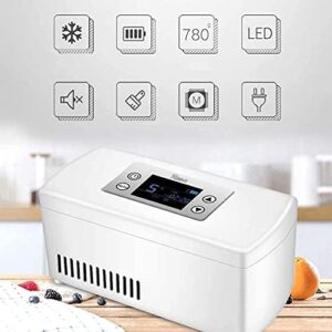 YNITJH frigorifero per insulina, mini frigo da viaggio per auto, casa e ufficio