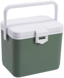 JUCHRZEY Frigorifero per Auto da Campeggio, Mini Congelatore Verde, 4,5 Litri, con Maniglia