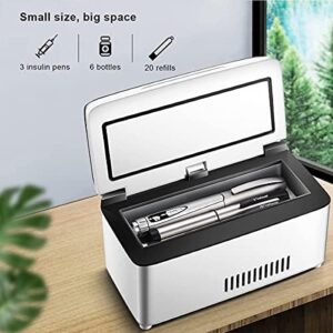 Professione Scatola Frigo per Insulina, Mini Frigorifero Portatile per Medicinali