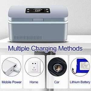 Yclty Insulina Frigo Portatile, mini frigorifero per insulina con display LCD e USB ricaricabile