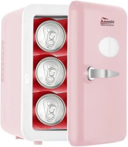 Mini frigorifero LvSenLin da 6 litri, ideale per conservare cosmetici e latte materno, perfetto per auto e camere da letto.