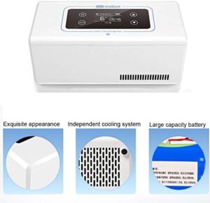 YPBX Mini Frigo Portatile con Schermo LCD per la Conservazione di Medicinali in Viaggio