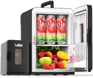 Mini frigorifero 15 litri portatile, 110V/12V, ideale per camera, ufficio e auto.