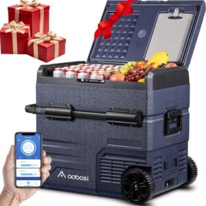 Frigo portatile AAOBOSI 55L doppia zona, con WiFi, regolabile da -20 a 20°C.